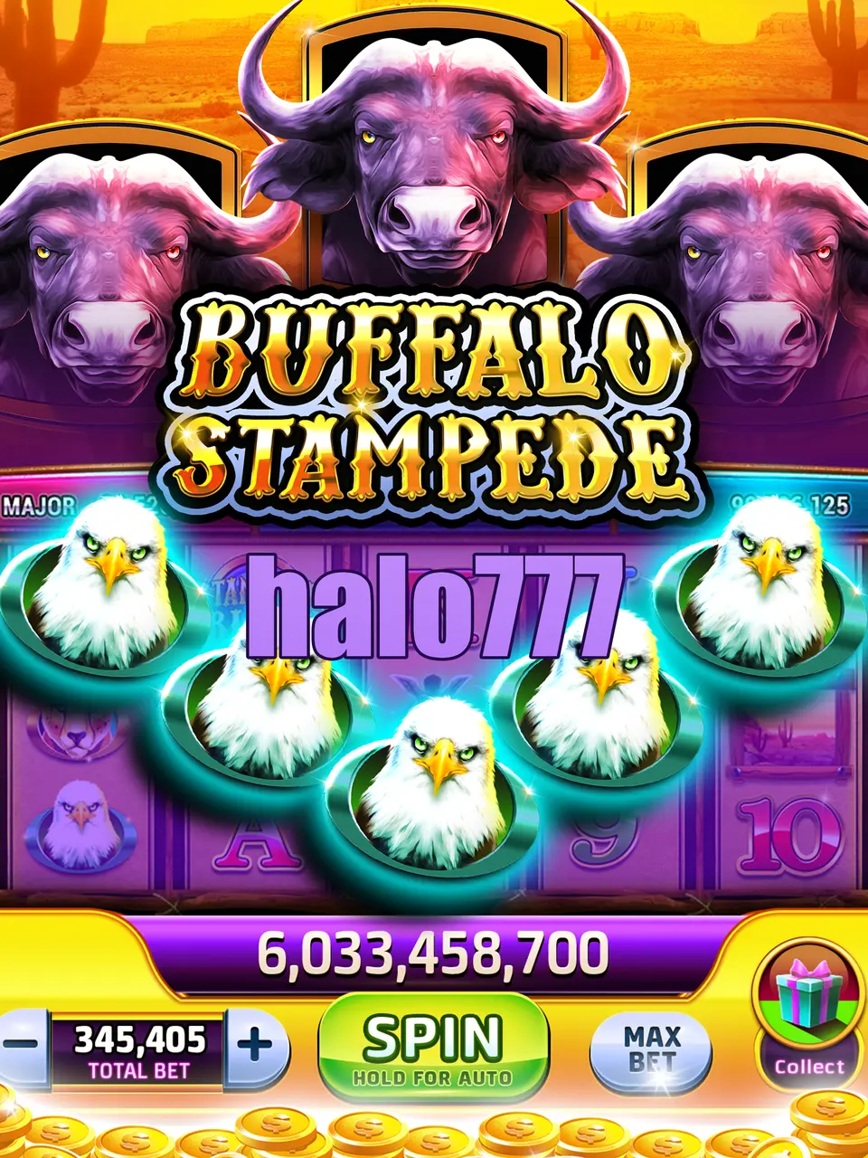 halo777 APK
